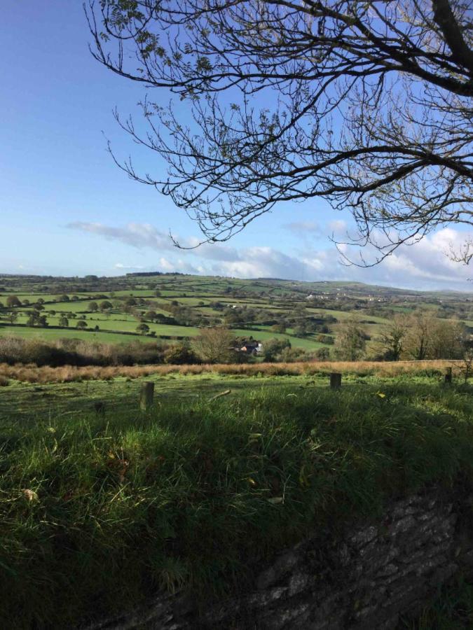 Beautiful Self Catering In Rural Pembrokeshire Apartamento Llanfyrnach Exterior foto